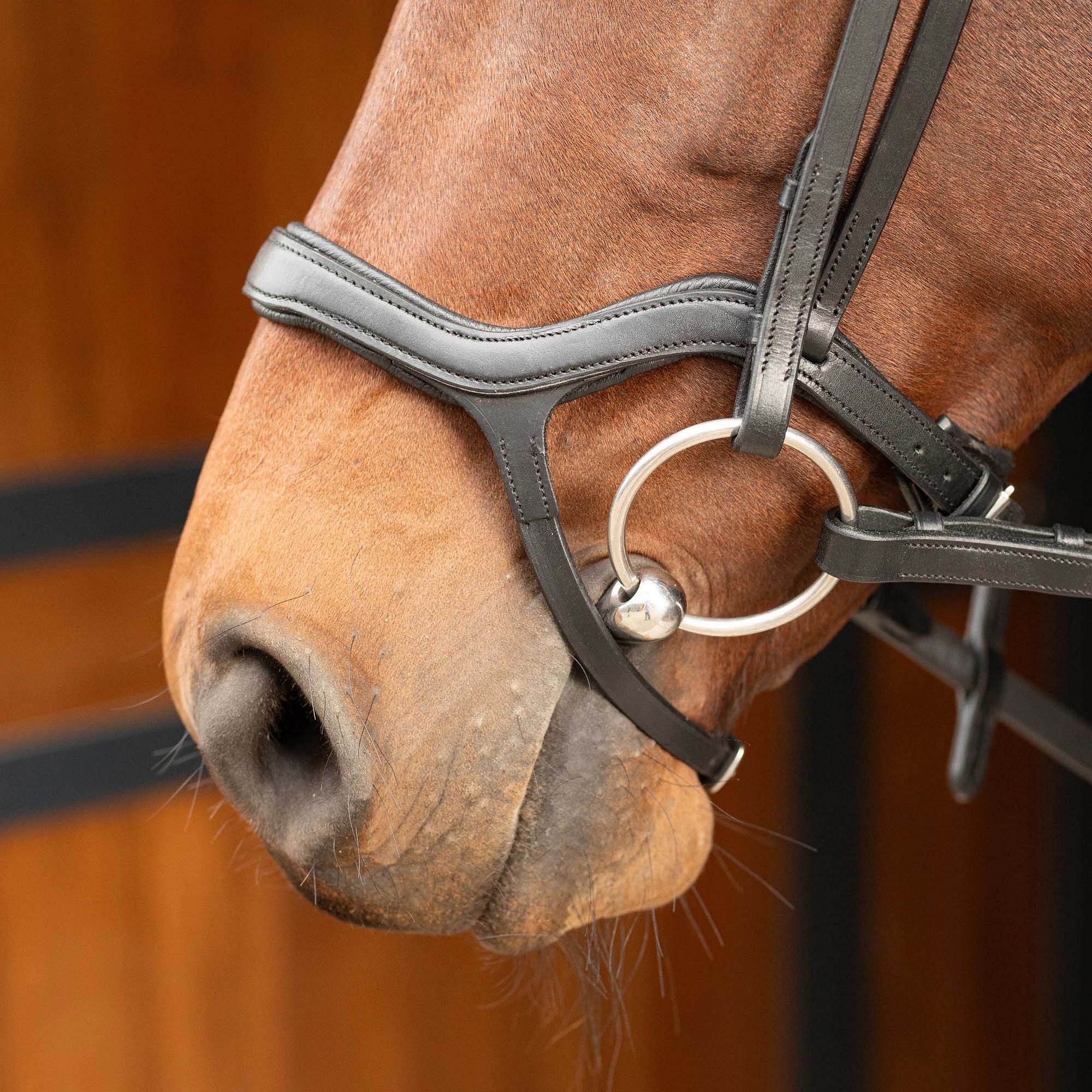 Уздечка трензельная. Harry's Horse 4
