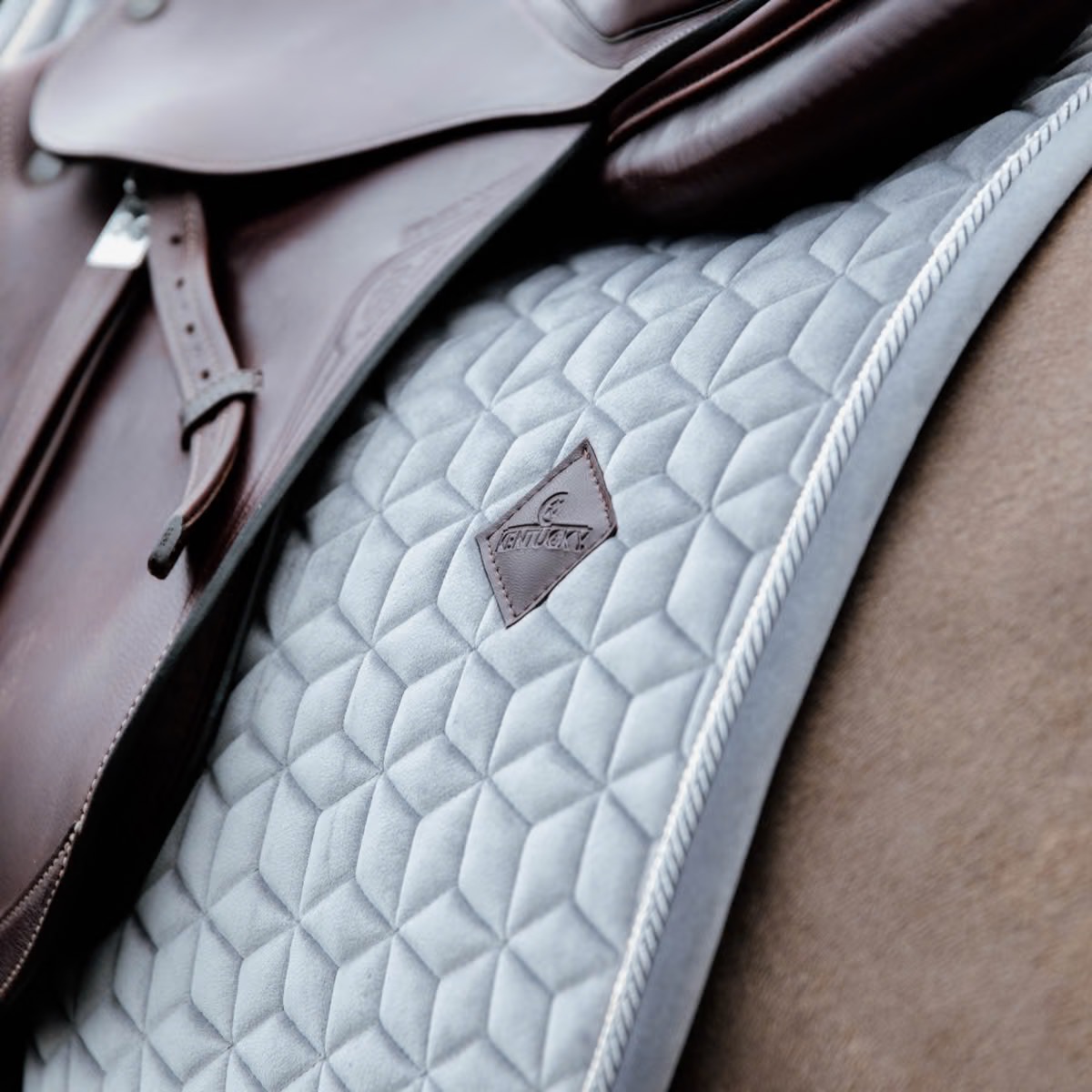 Вальтрап конкурный Basic Velvet Grey. Kentucky 2