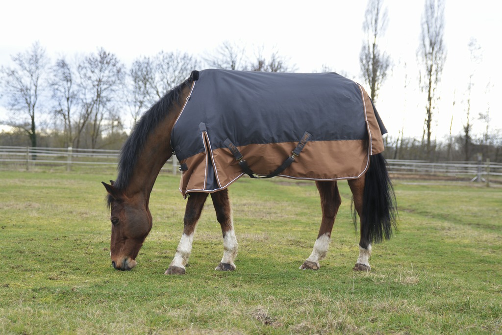 Попона дождевая Aisance 600 D. Equitheme 2