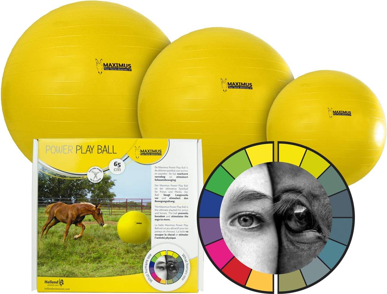 Мяч Maximus Power Play, 100 см. Holland Animal Care 2