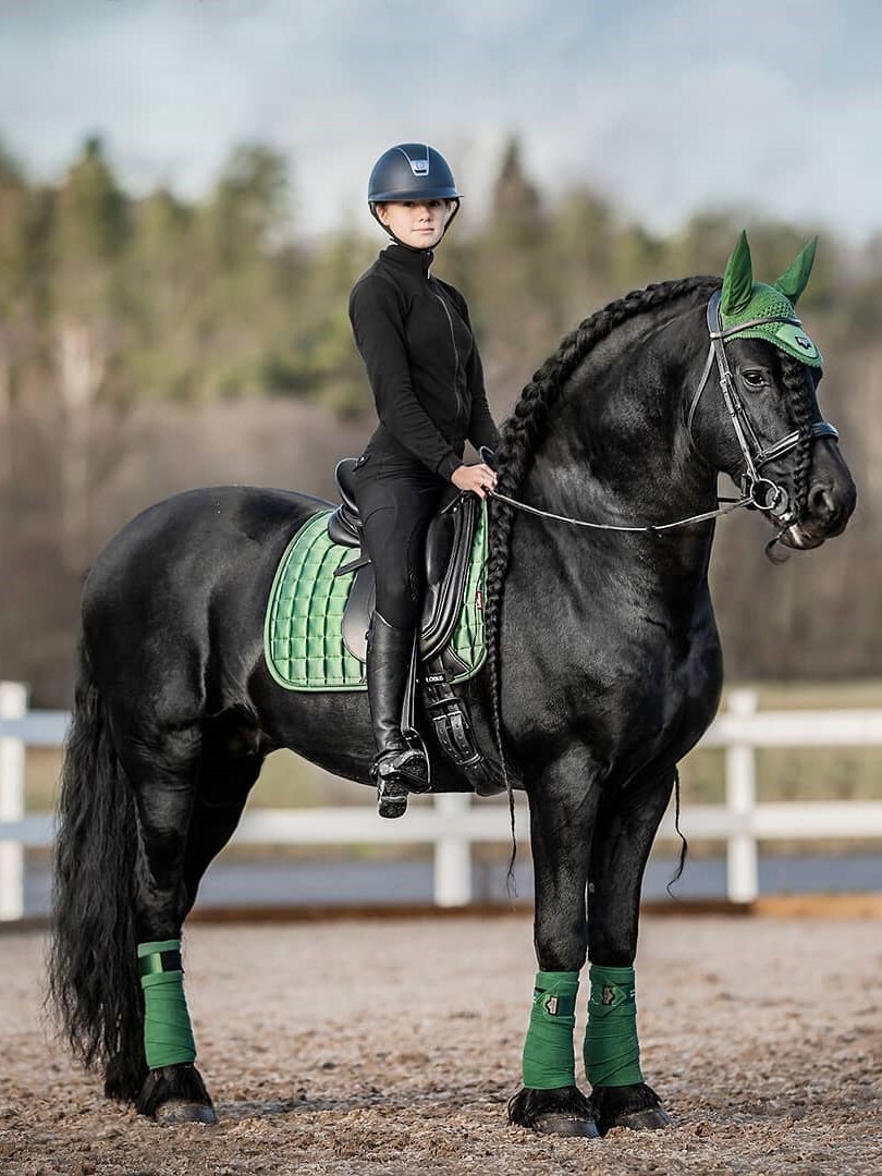 Вальтрап выездковый Loire Classic DR Square Hunter Green. LeMieux 2