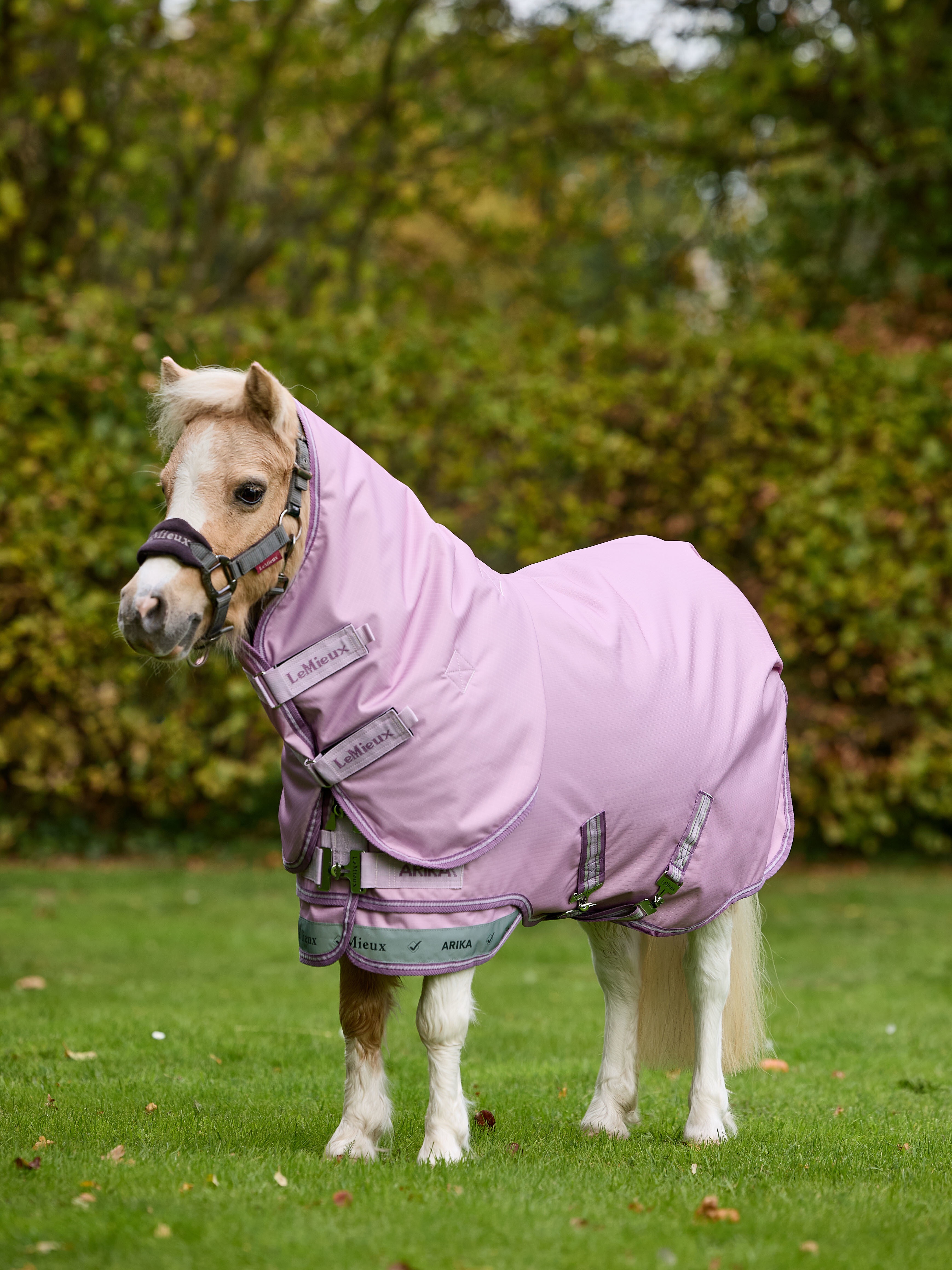 Попона дождевая Arika Ripstop 0g Turnout Rug Fondant, 600D. LeMieux 7