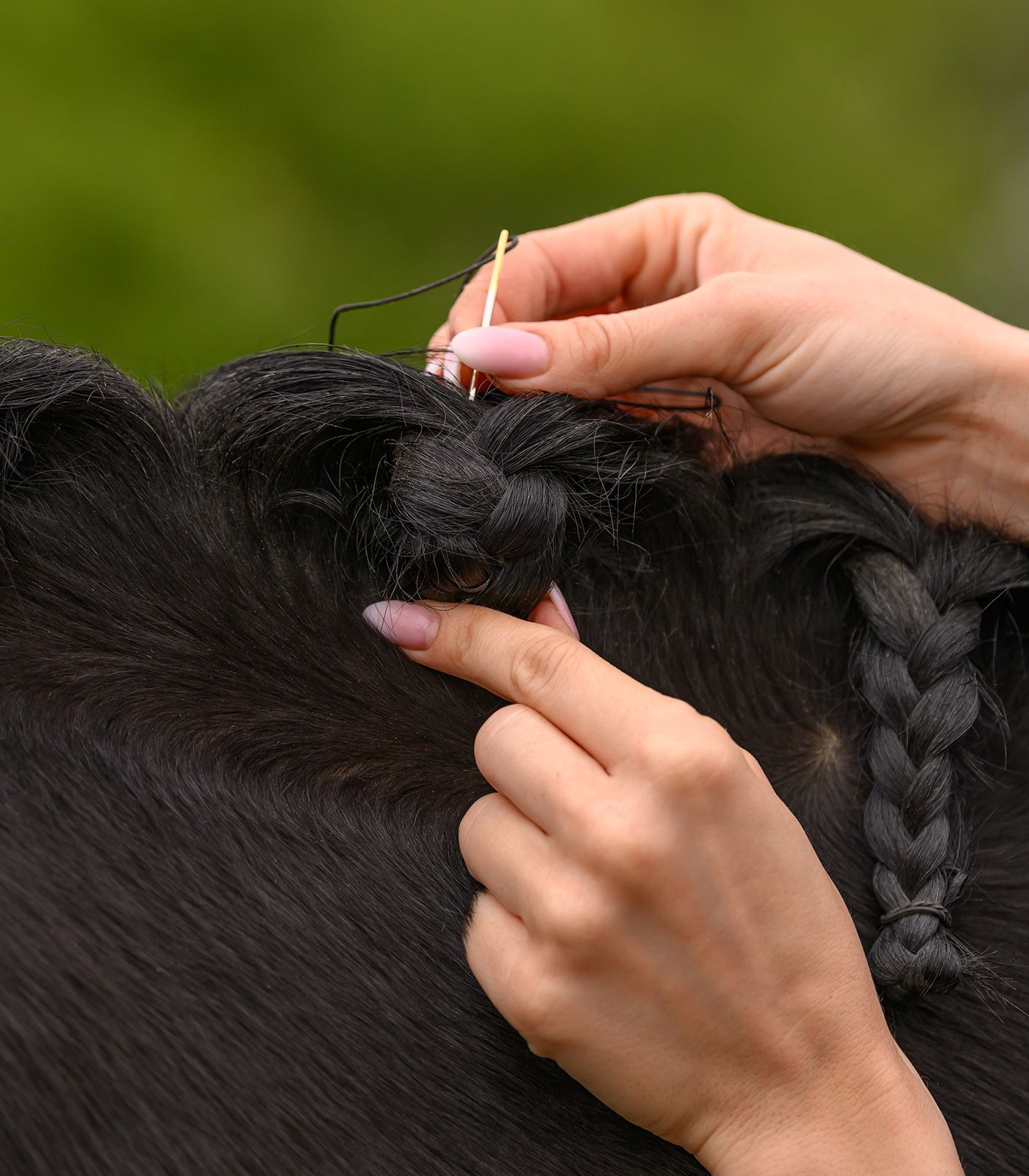 Набор для заплетая гривы Mane-Plaiting Set. Waldhausen 3