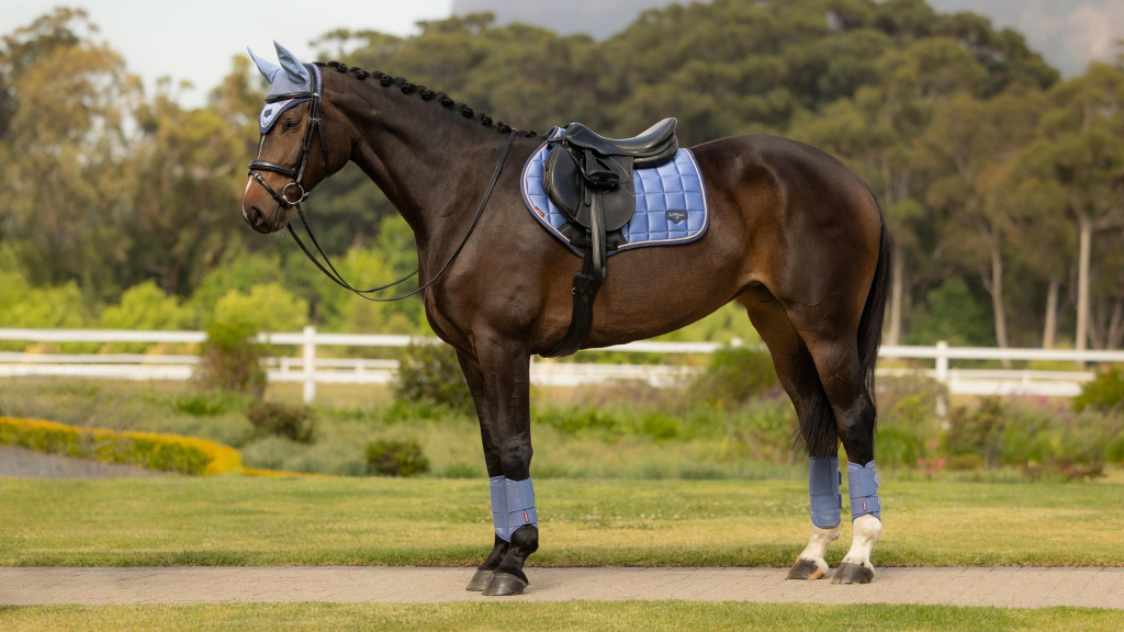 Вальтрап конкурный Loire Classic CC Square Powder Blue. LeMieux 3
