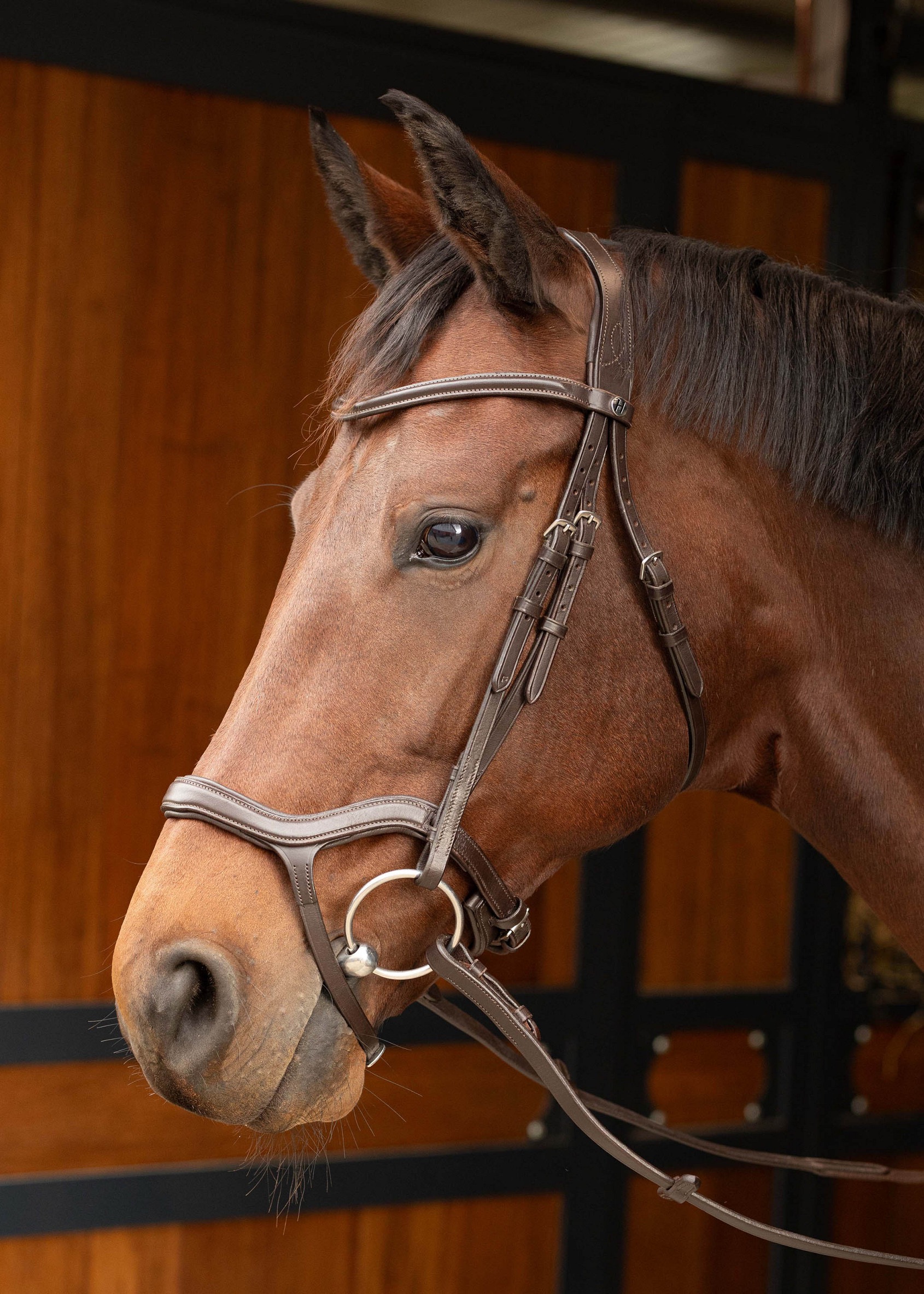 Уздечка трензельная. Harry's Horse 6