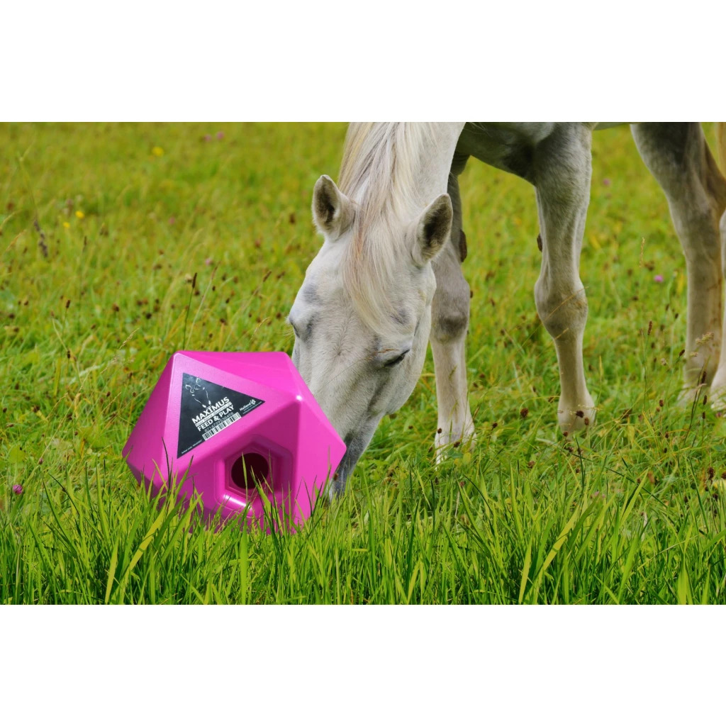 Игрушка Maximus Pink. Holland Animal Care 3