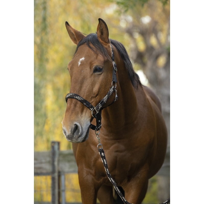 Недоуздок с чомбуром Tresse. Equitheme 3