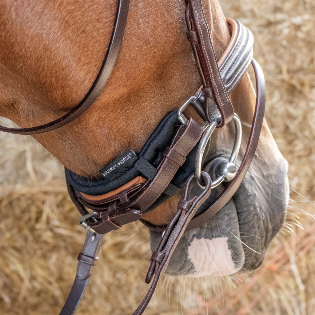 Защита на капсюль, неопреновая. Harry's Horse 3