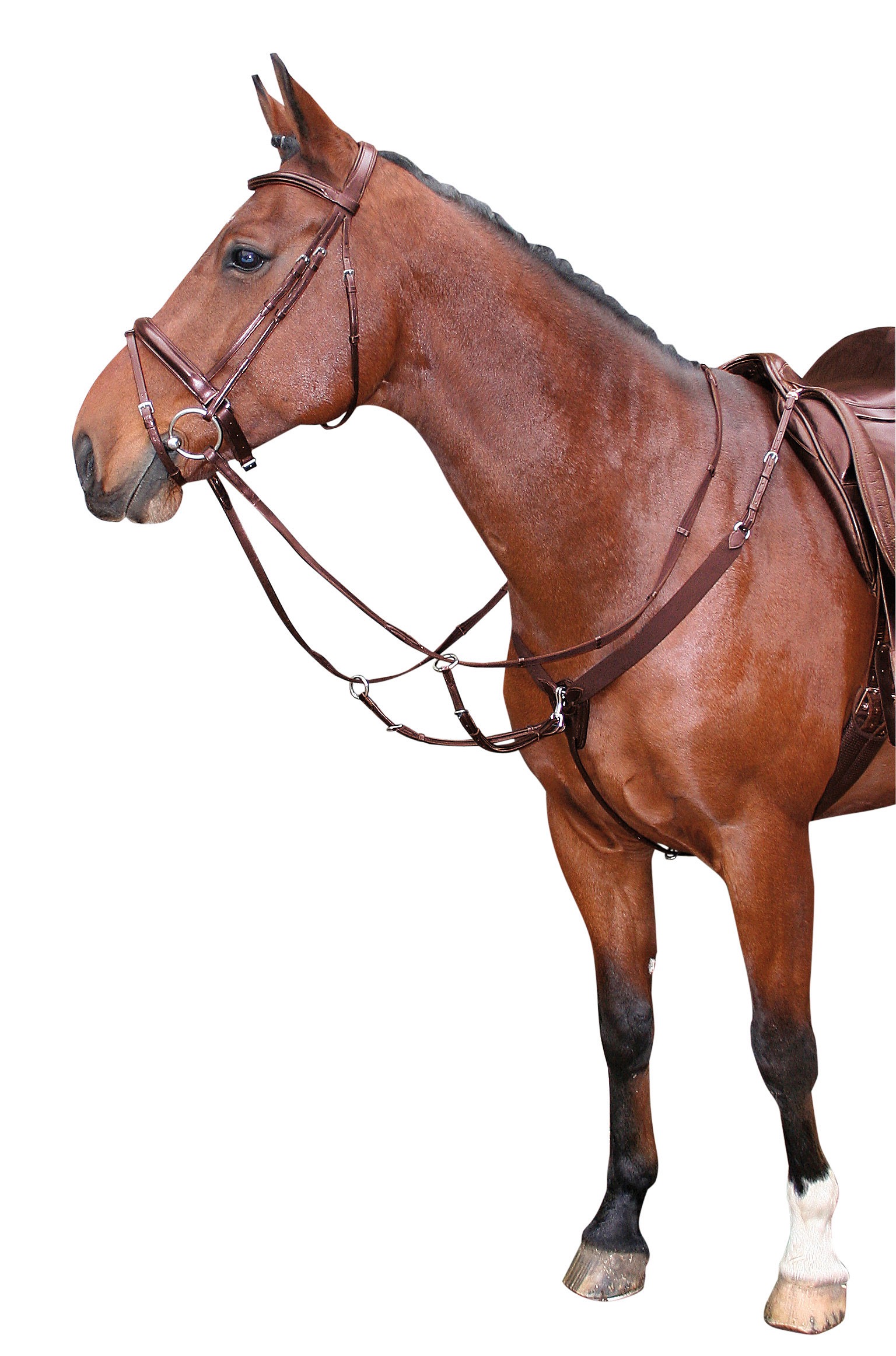 Мартингал с эластичной вставкой Brown. Harry's Horse 2