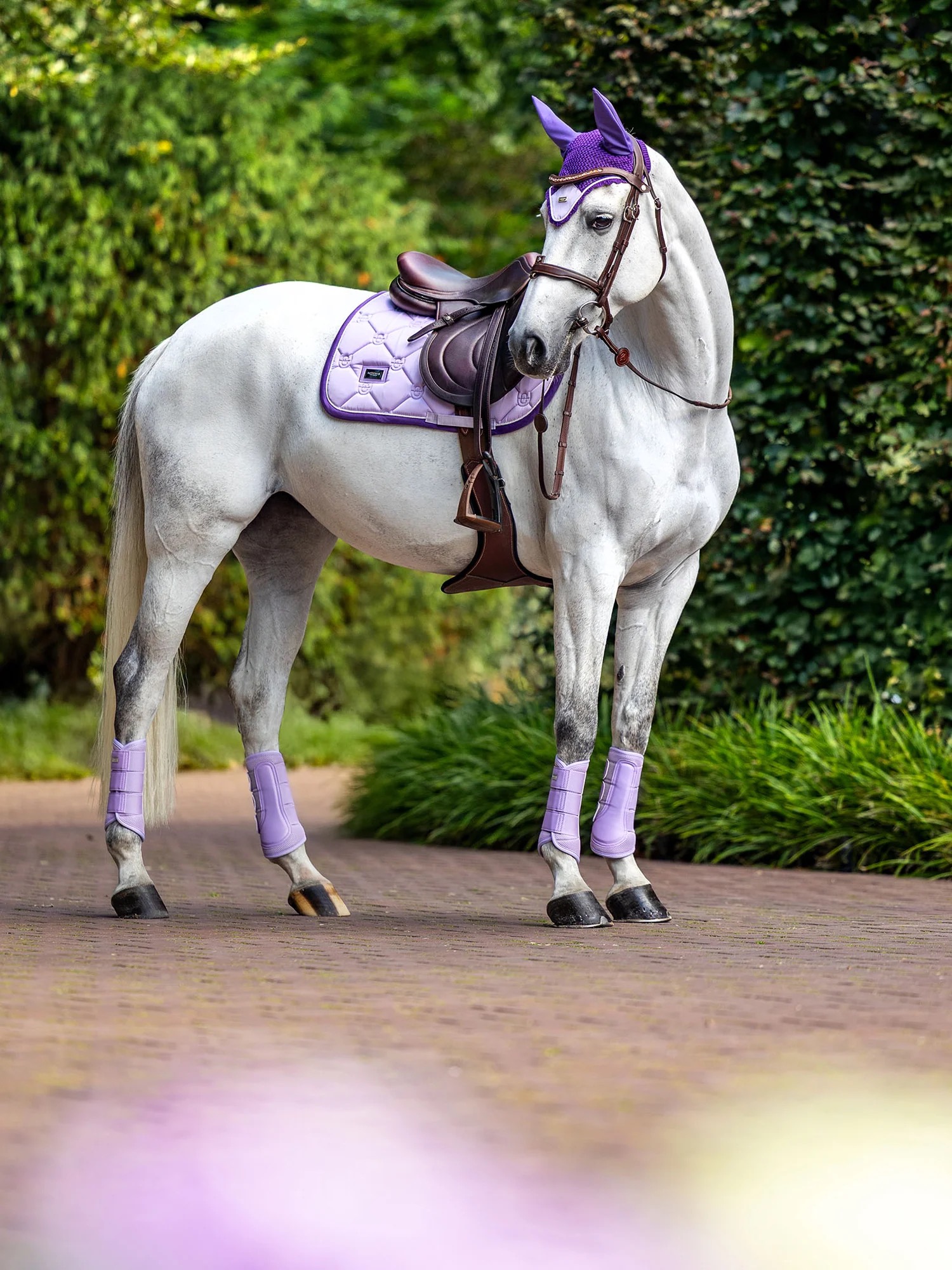 Вальтрап конкурный Lavender. Equestrian Stockholm 4