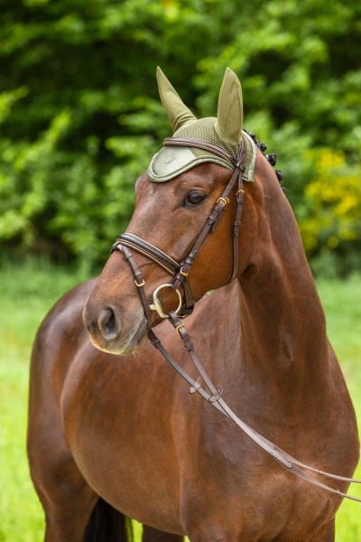 Ушки Olive. Covalliero 2
