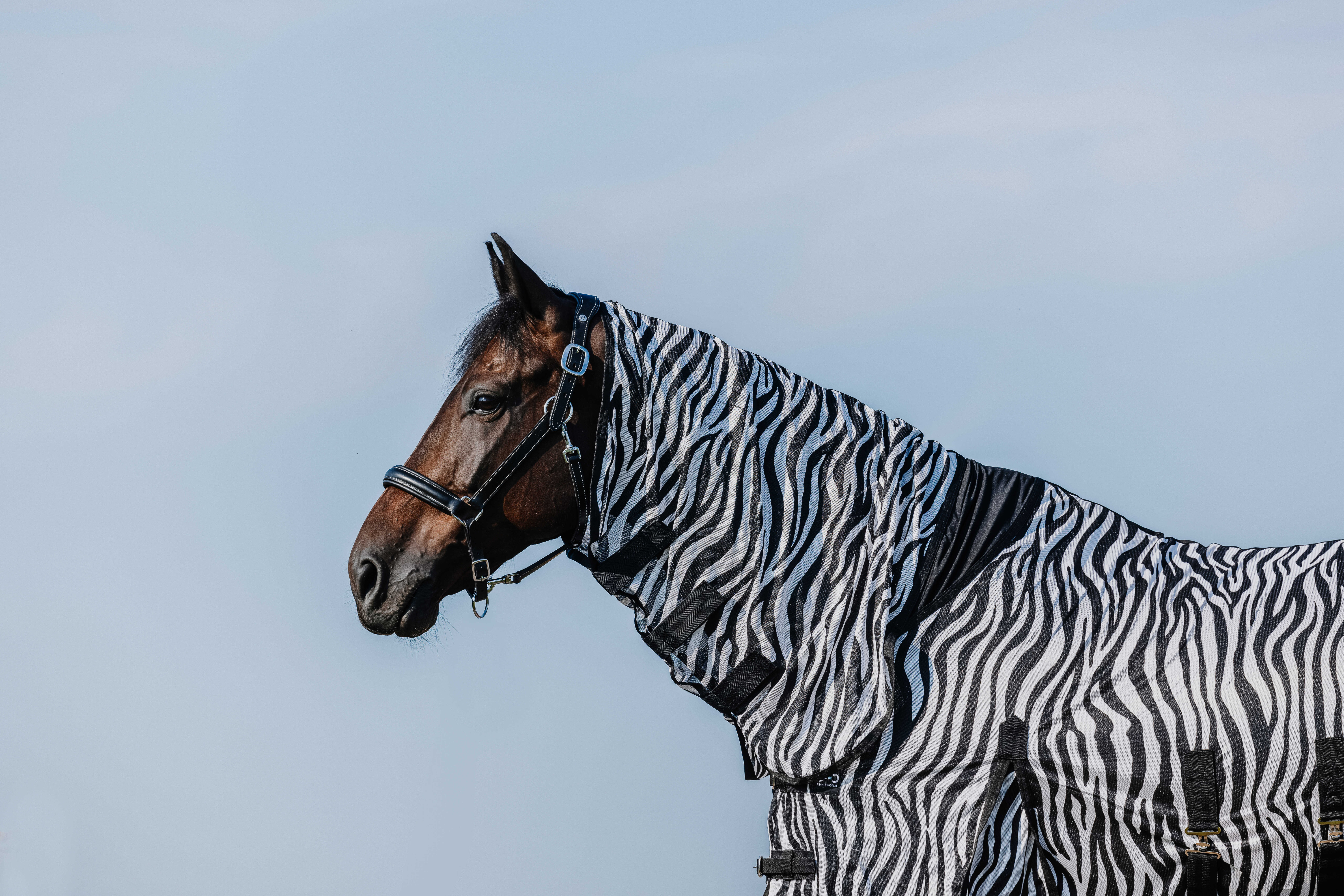 Попона антимоскитная Belly Mesh Zebra. RW 5
