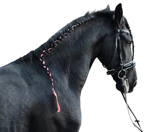 Бинт для заплетания гривы Equilastic. Holland Animal Care 3