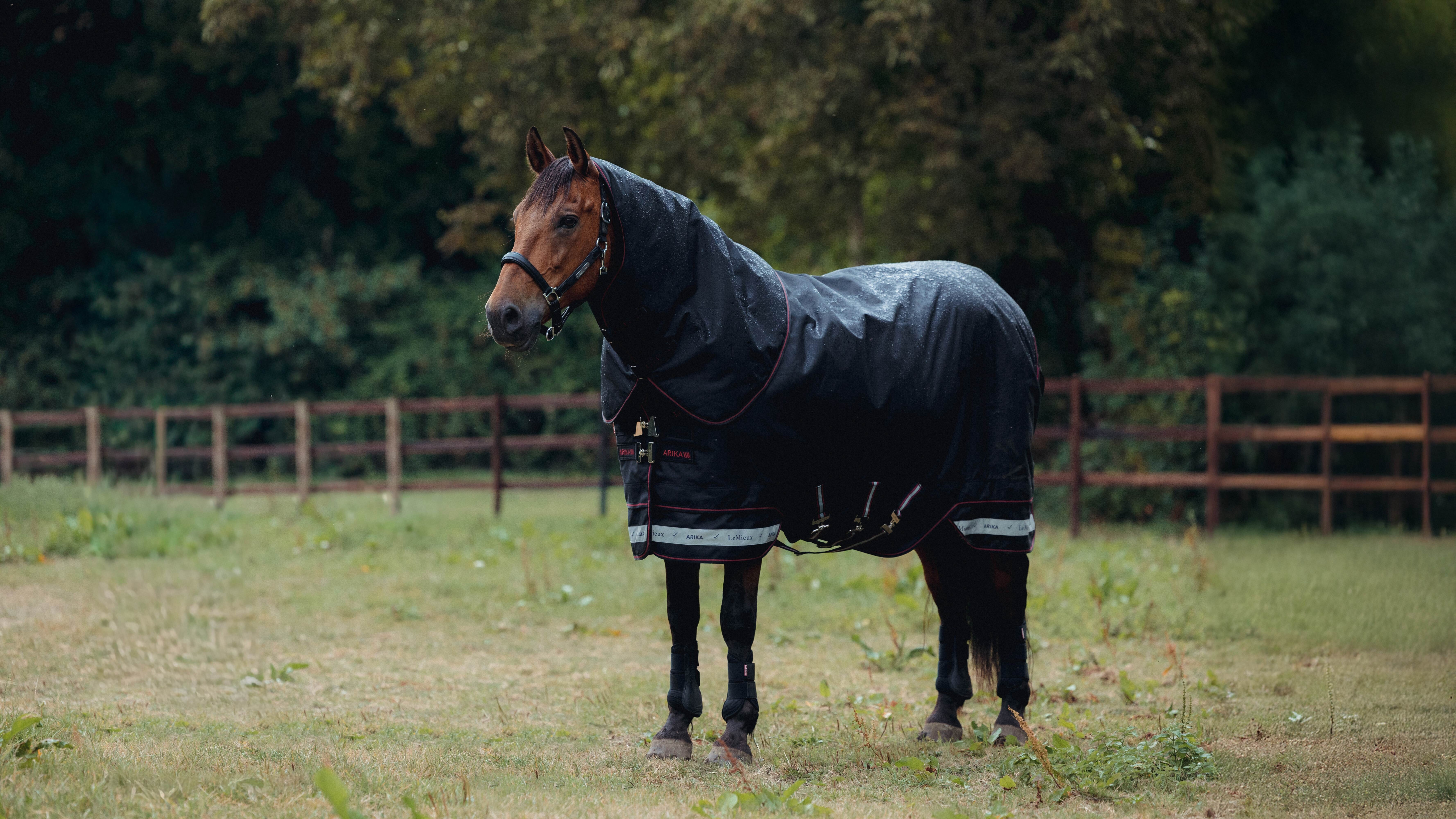 Попона зимняя прогулочная Arika Storm-Tek Rug Black, 350 гр., 1200D. LeMieux 3