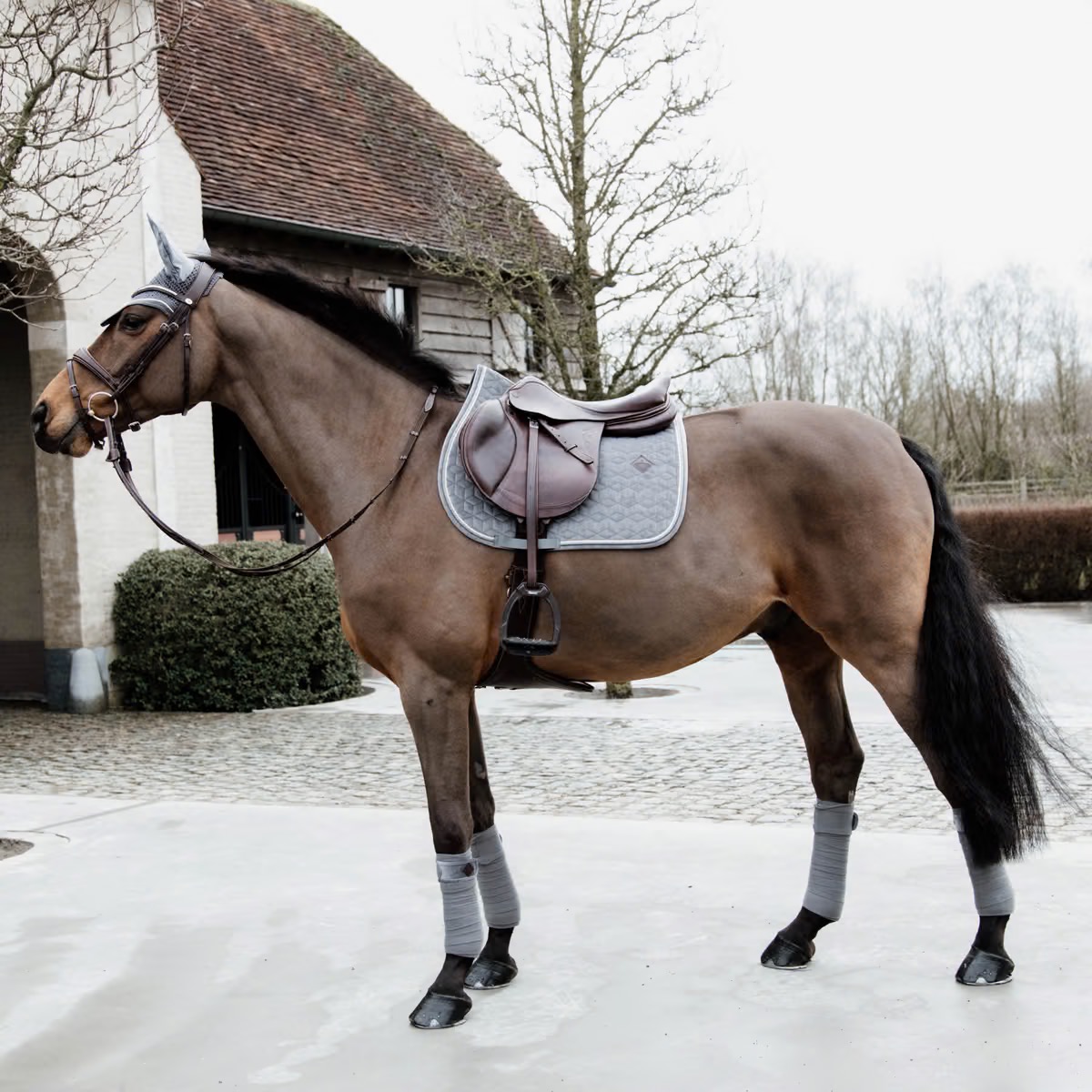Вальтрап конкурный Basic Velvet Grey. Kentucky 5