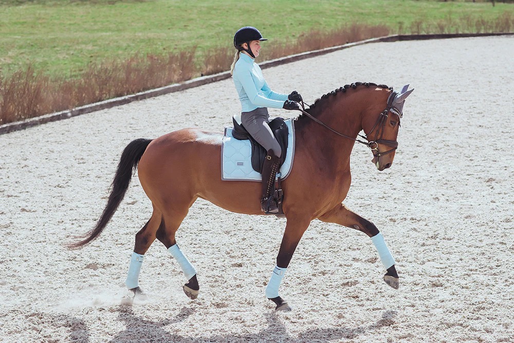 Вальтрап выездковый Ice Blue. Equestrian Stockholm 5
