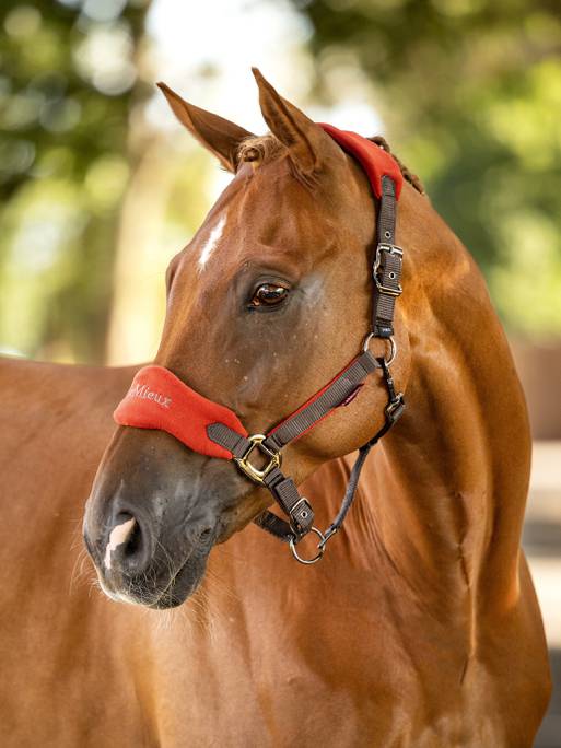 Недоуздок с чомбуром Vogue Sienna. LeMieux 4