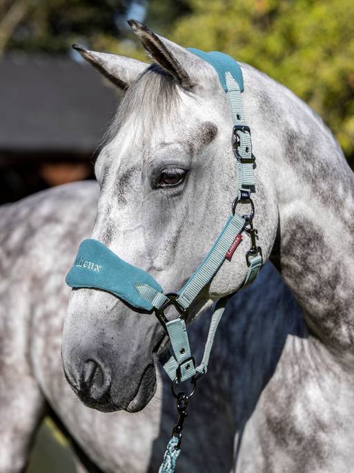 Недоуздок с чомбуром Vogue Sage. LeMieux 2