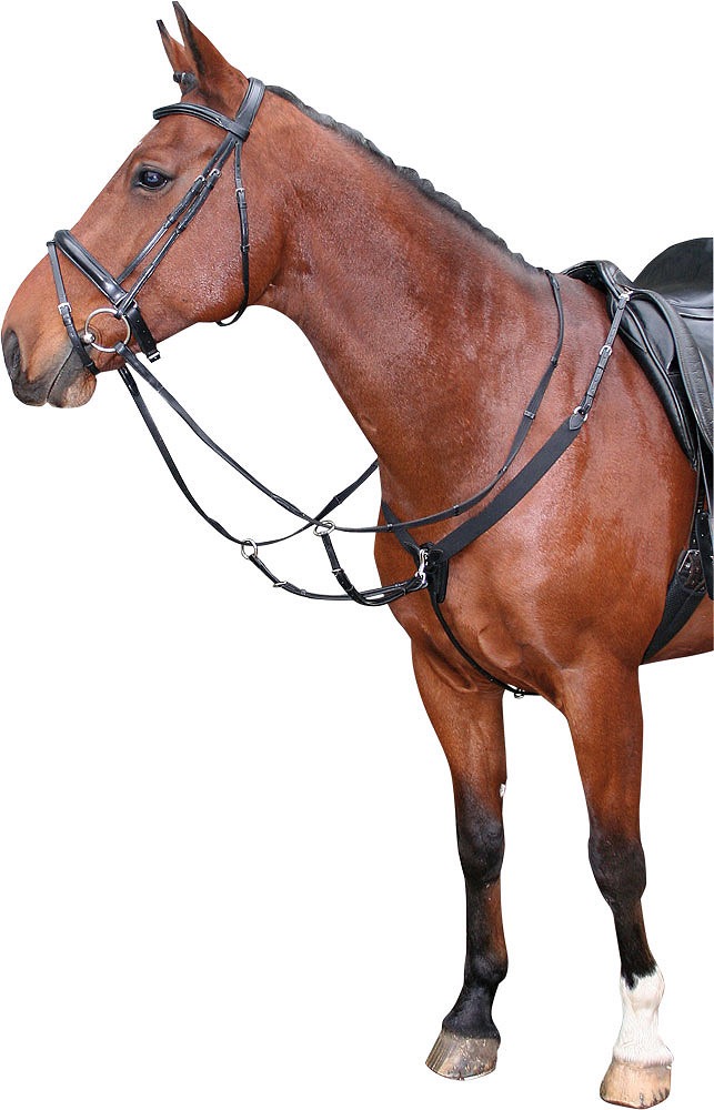 Мартингал с эластичной вставкой Black. Harry's Horse 3