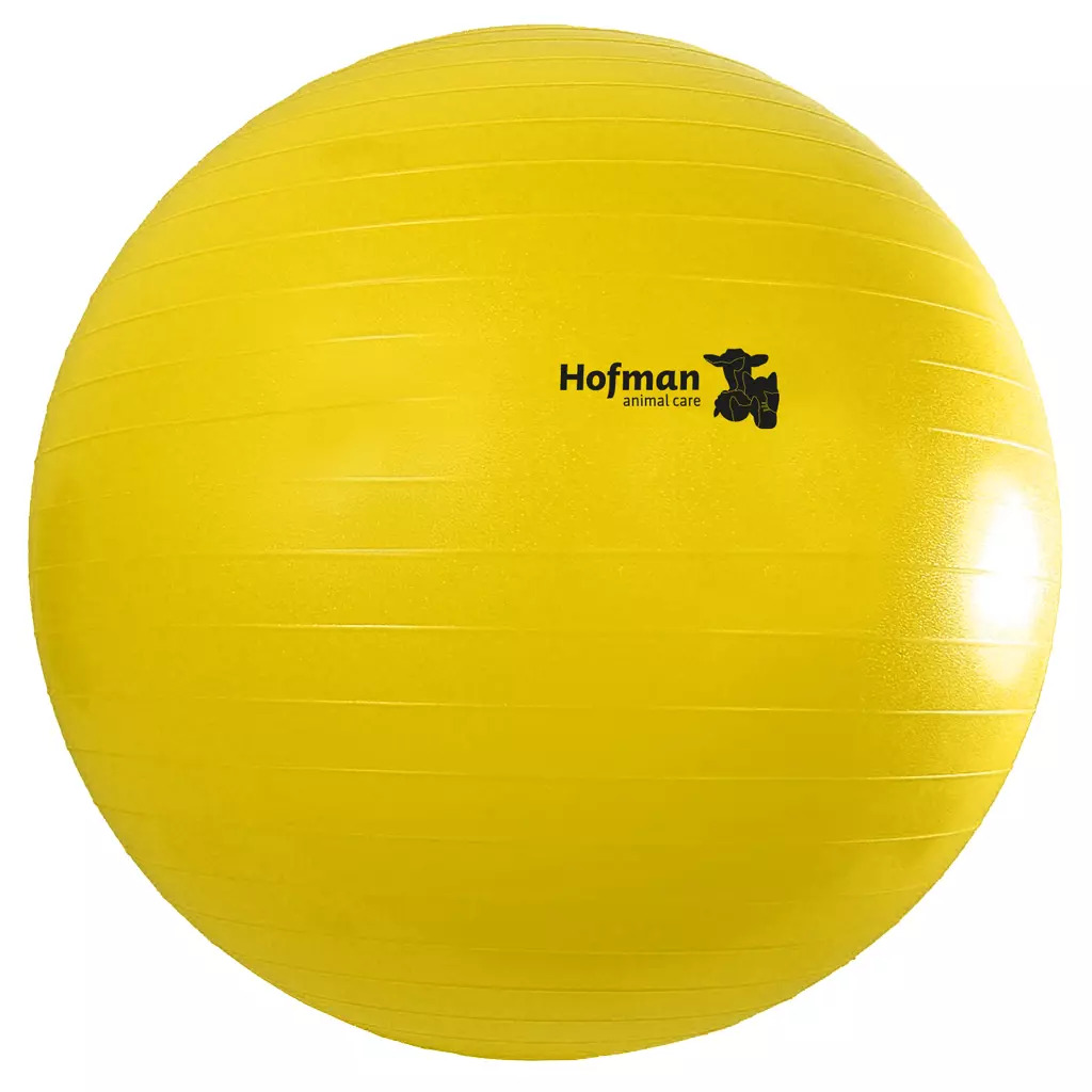 Мяч Maximus Power Play, 65 см. Holland Animal Care 2
