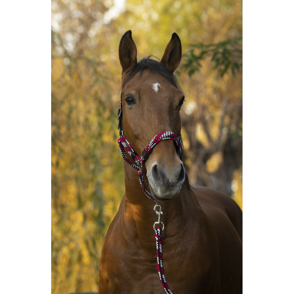 Недоуздок с чомбуром Tresse. Equitheme 2