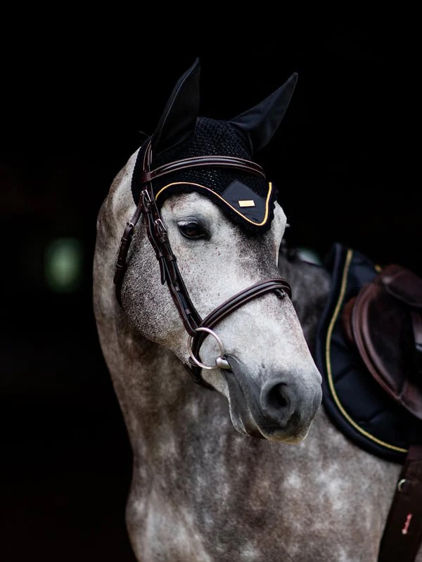 Ушки Black Gold. Equestrian Stockholm 2