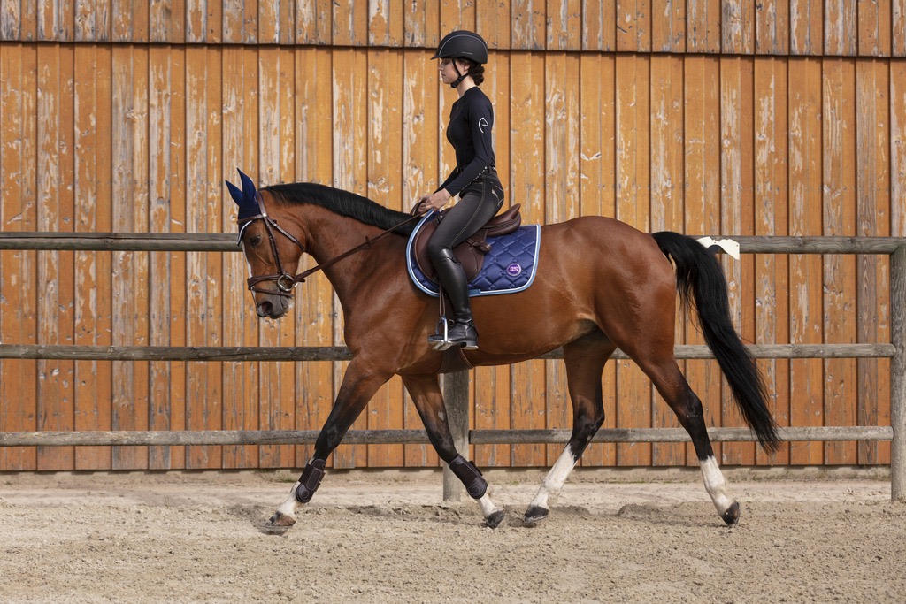 Шлем Compet. Equitheme 3