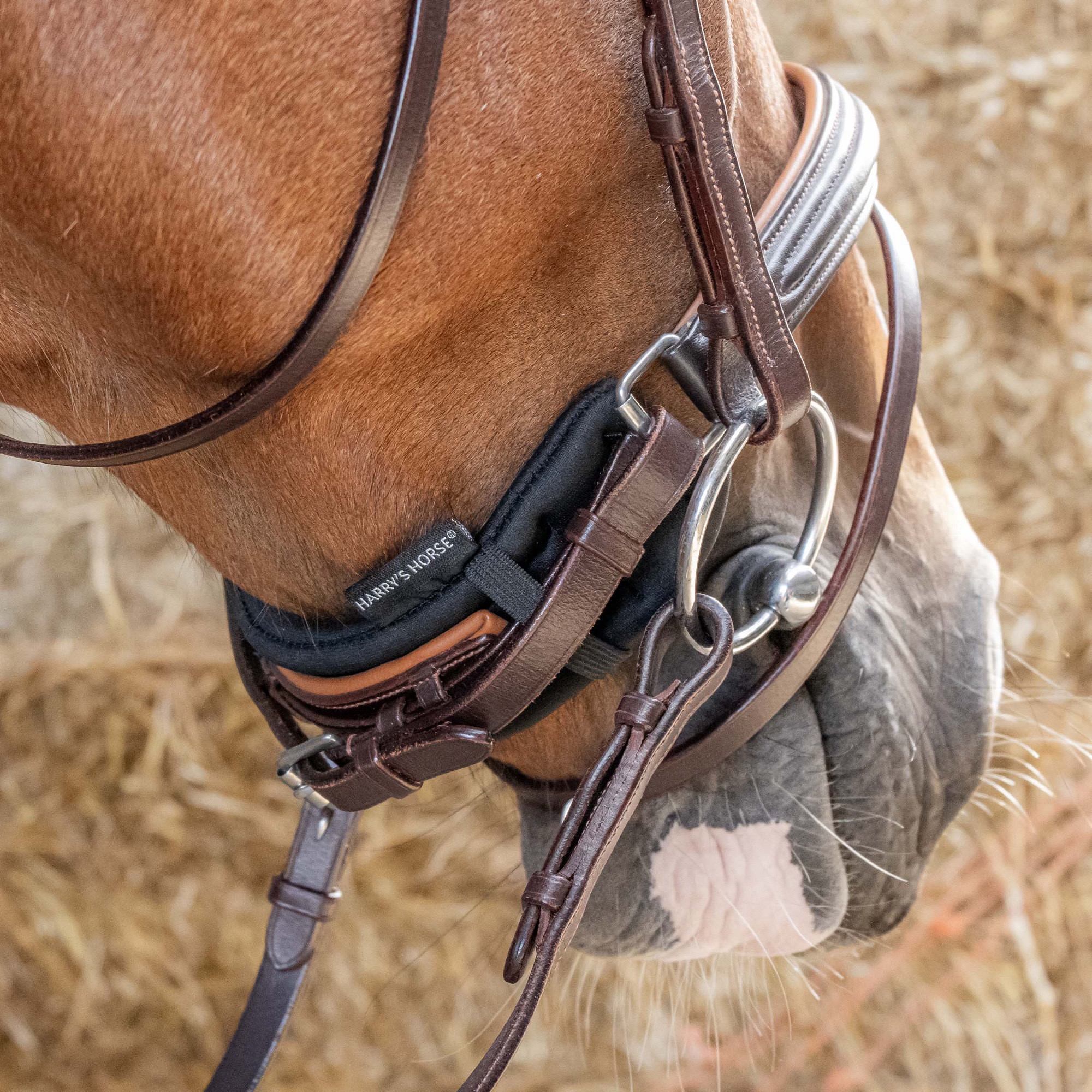 Защита на капсюль, неопреновая. Harry's Horse 3