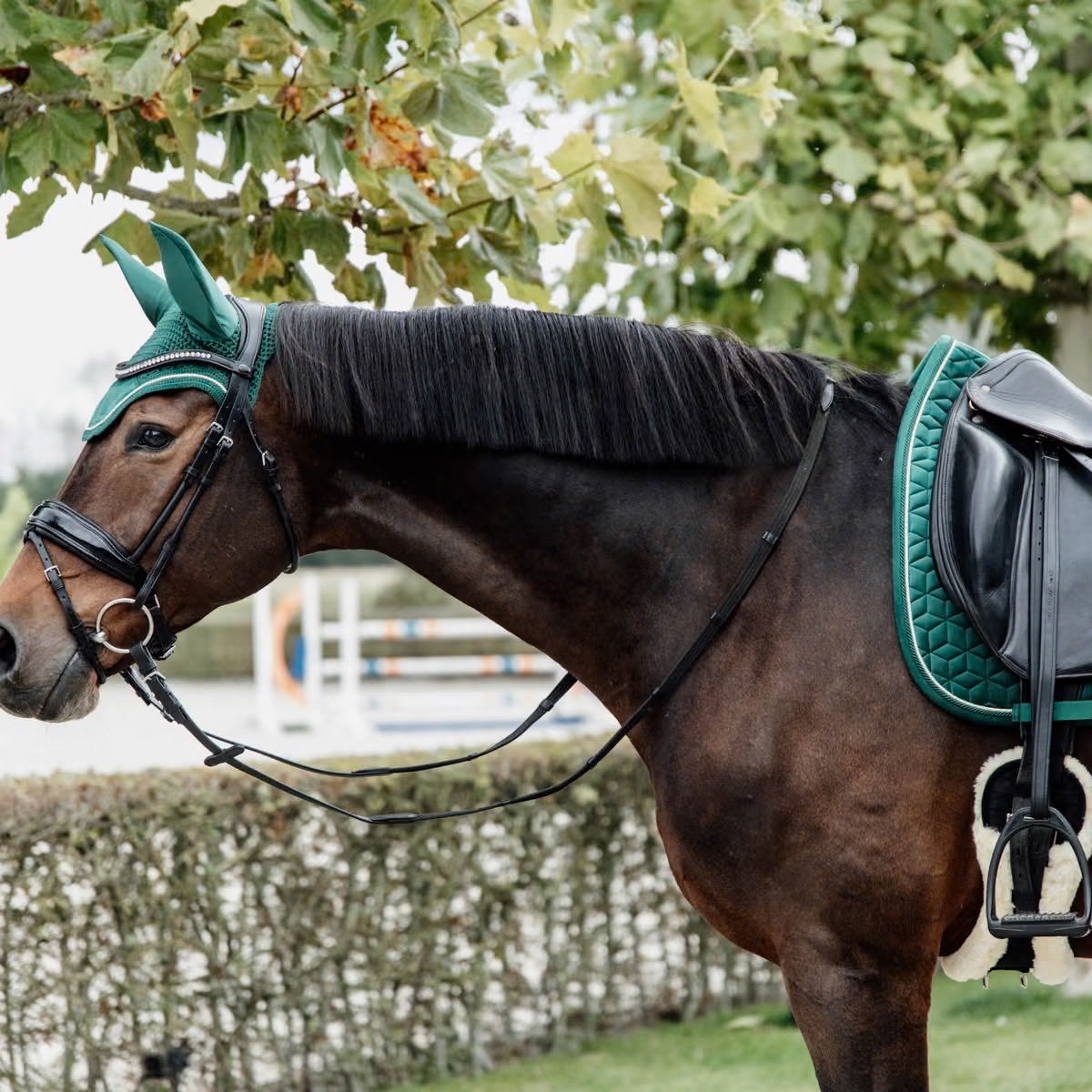 Вальтрап выездковый Velvet Dark Green. Kentucky 4
