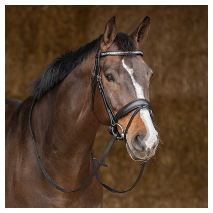 Уздечка трензельная Drops Black. Harry's Horse 3