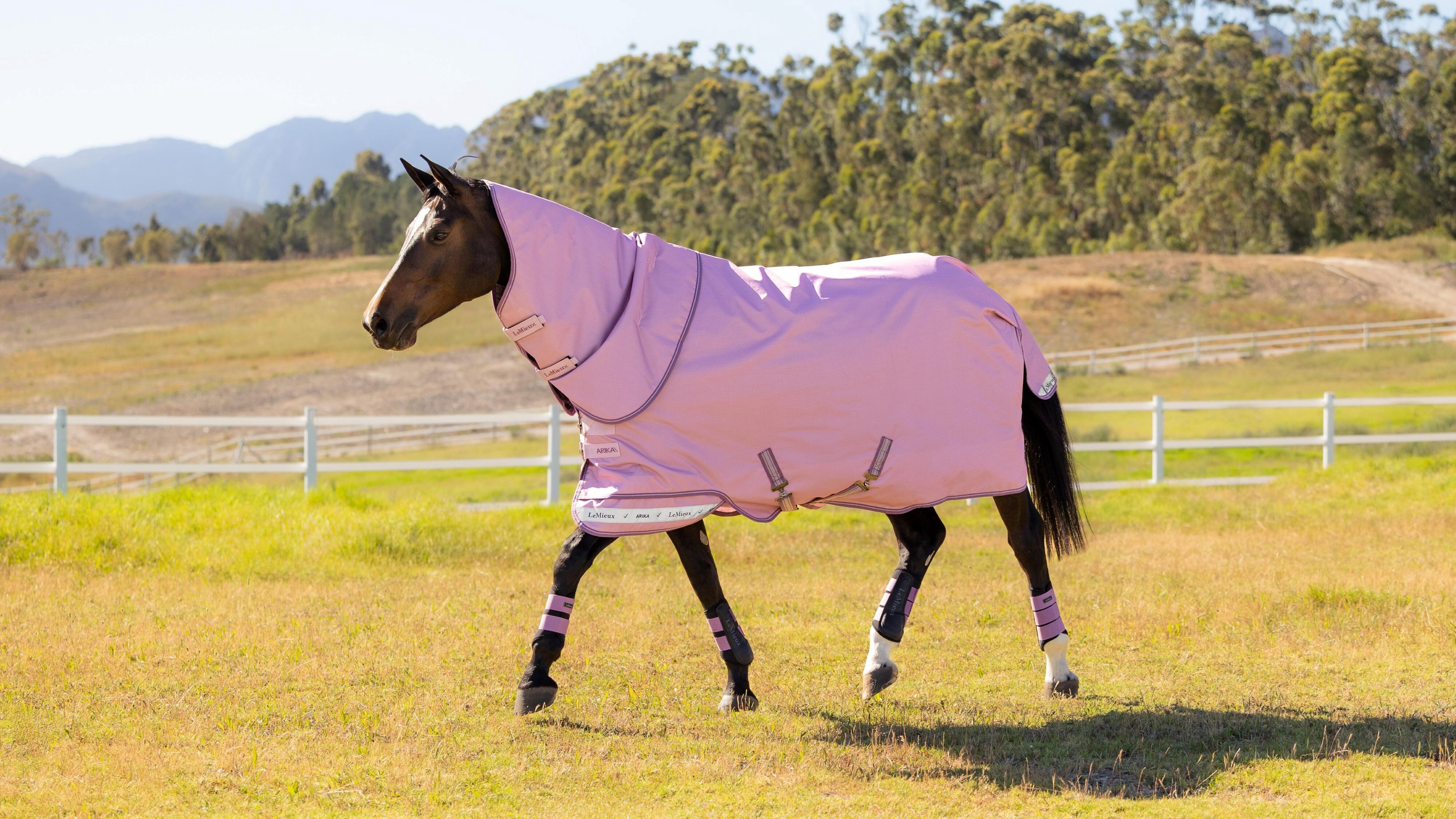 Попона дождевая Arika Ripstop 0g Turnout Rug Fondant, 600D. LeMieux 5