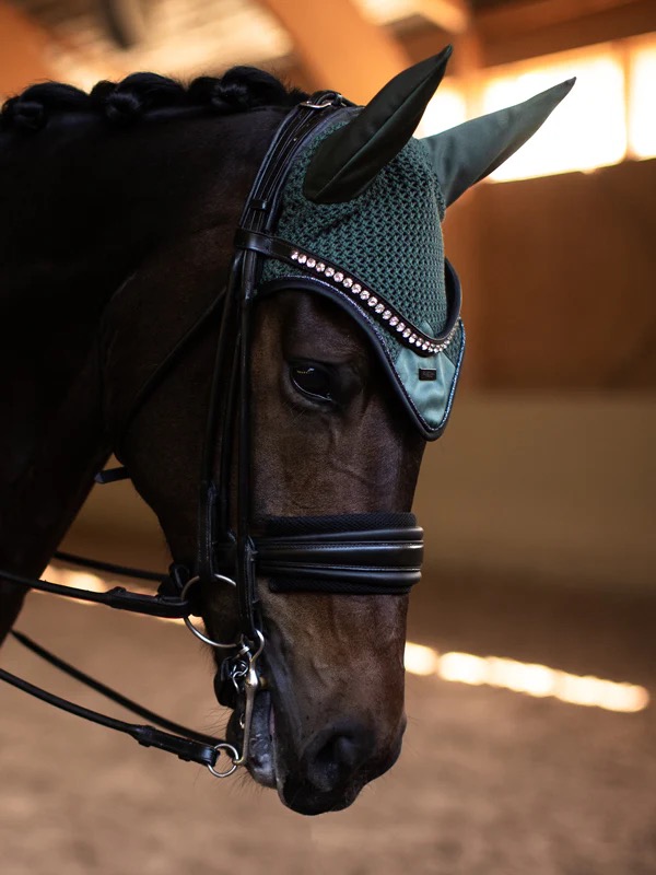 Ушки Sycamore Green. Equestrian Stockholm 2