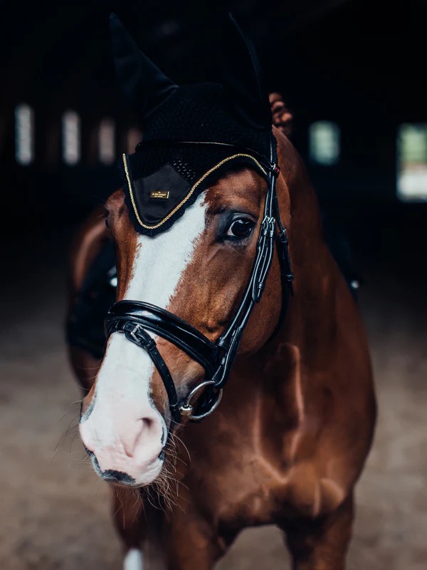 Ушки Black Gold. Equestrian Stockholm 3