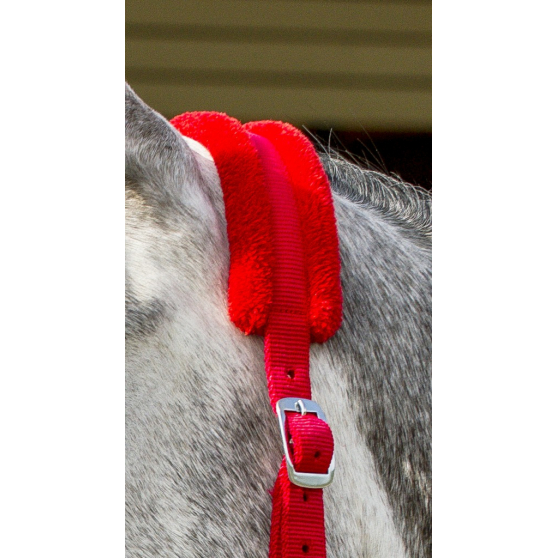 Недоуздок Mouton. Norton 7