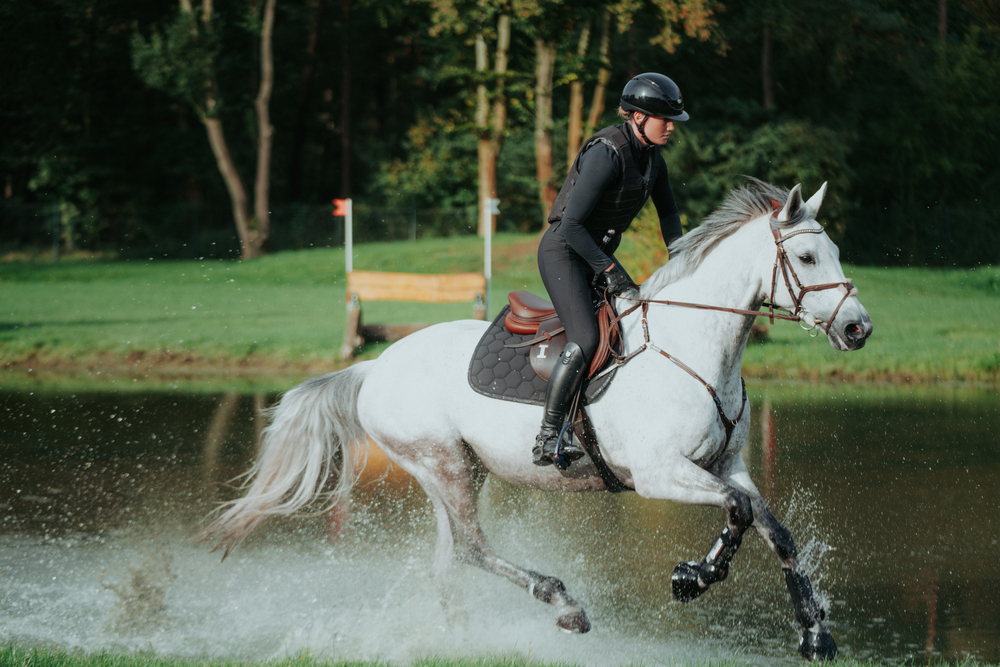 Шлем Airduo Shine Black. Pikeur 8