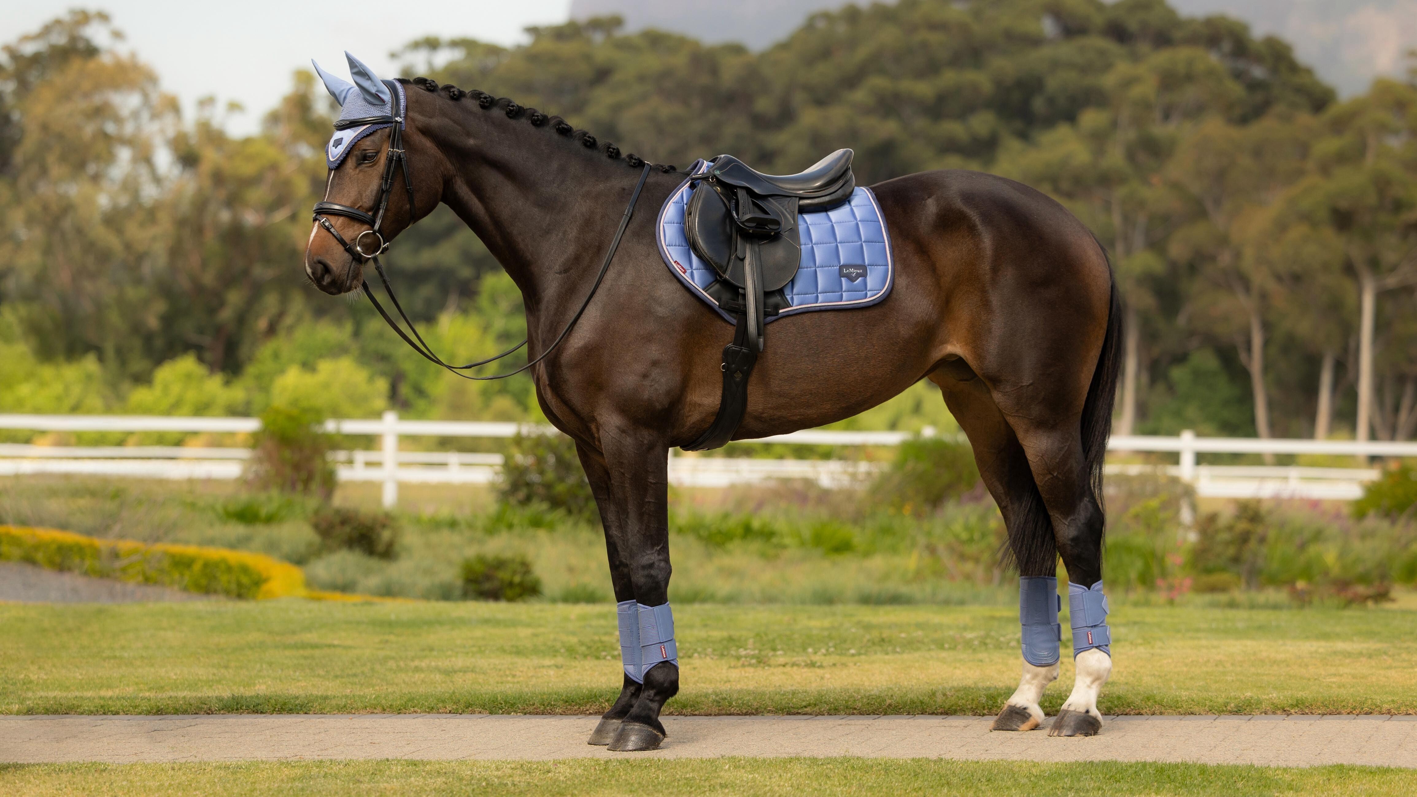 Вальтрап конкурный Loire Classic CC Square Powder Blue. LeMieux 3