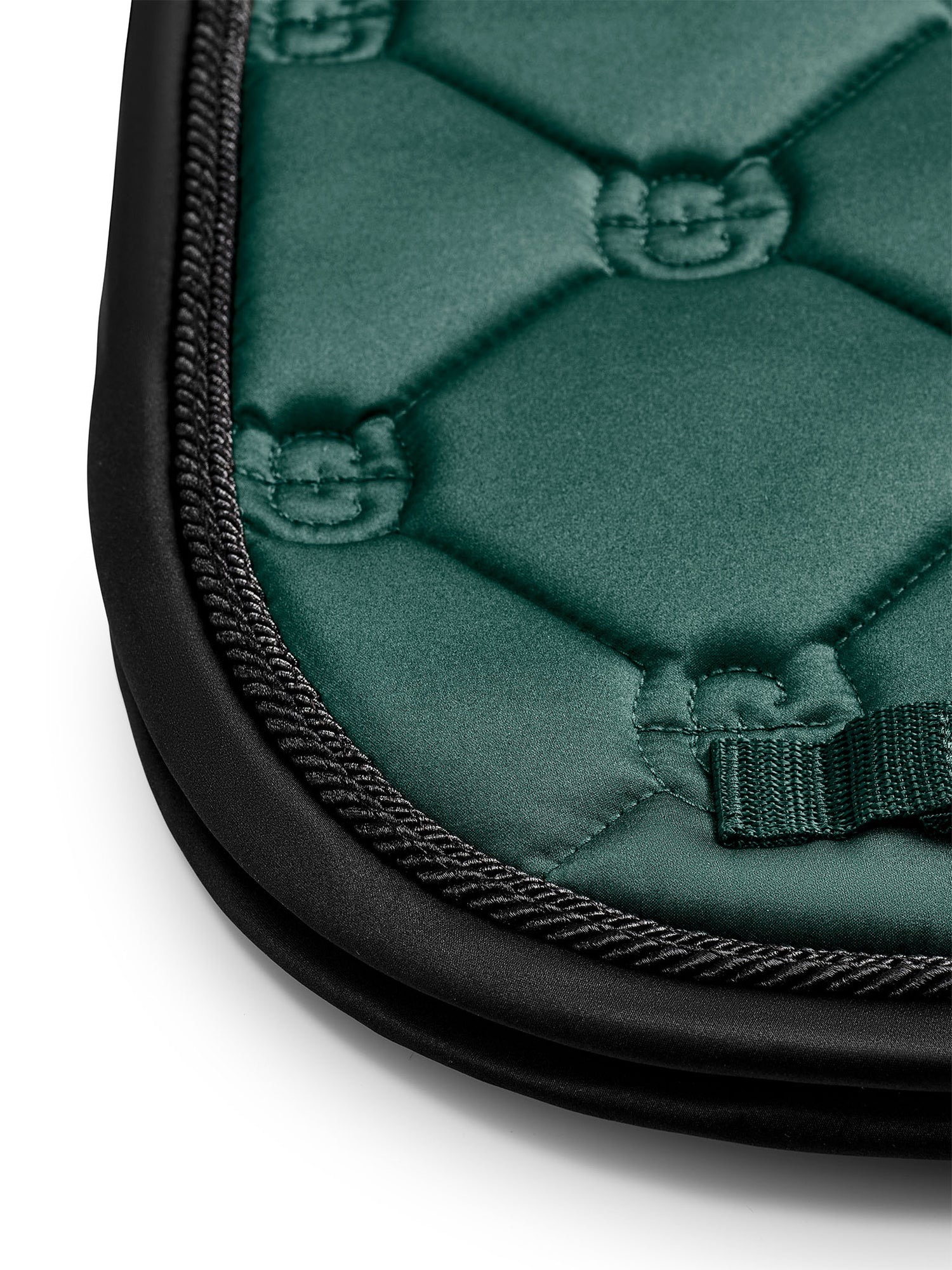 Вальтрап выездковый Sycamore Green. Equestrian Stockholm 2