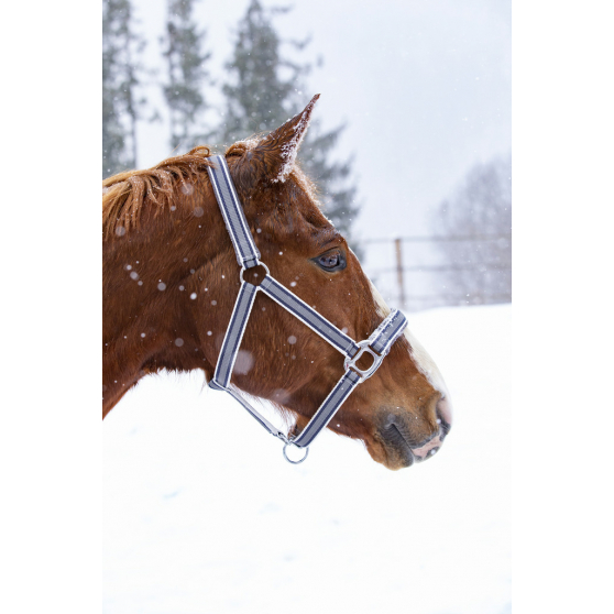 Недоуздок Ligne. Equitheme 2