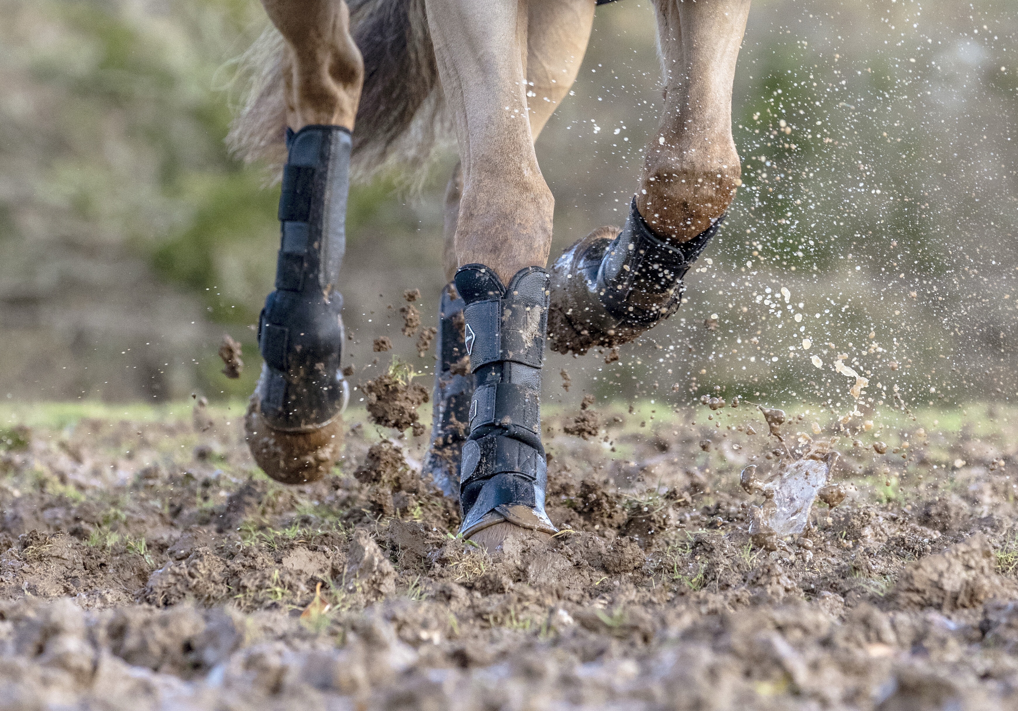 Ногавки прогулочные Turnout Boots Black. LeMieux 5