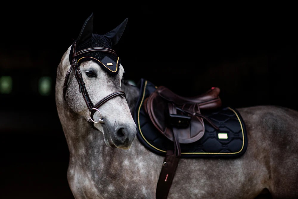 Вальтрап конкурный Black Gold. Equestrian Stockholm 6