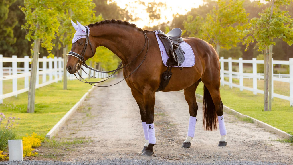 Бинты флисовые Classic Polo, 4 шт. LeMieux 7