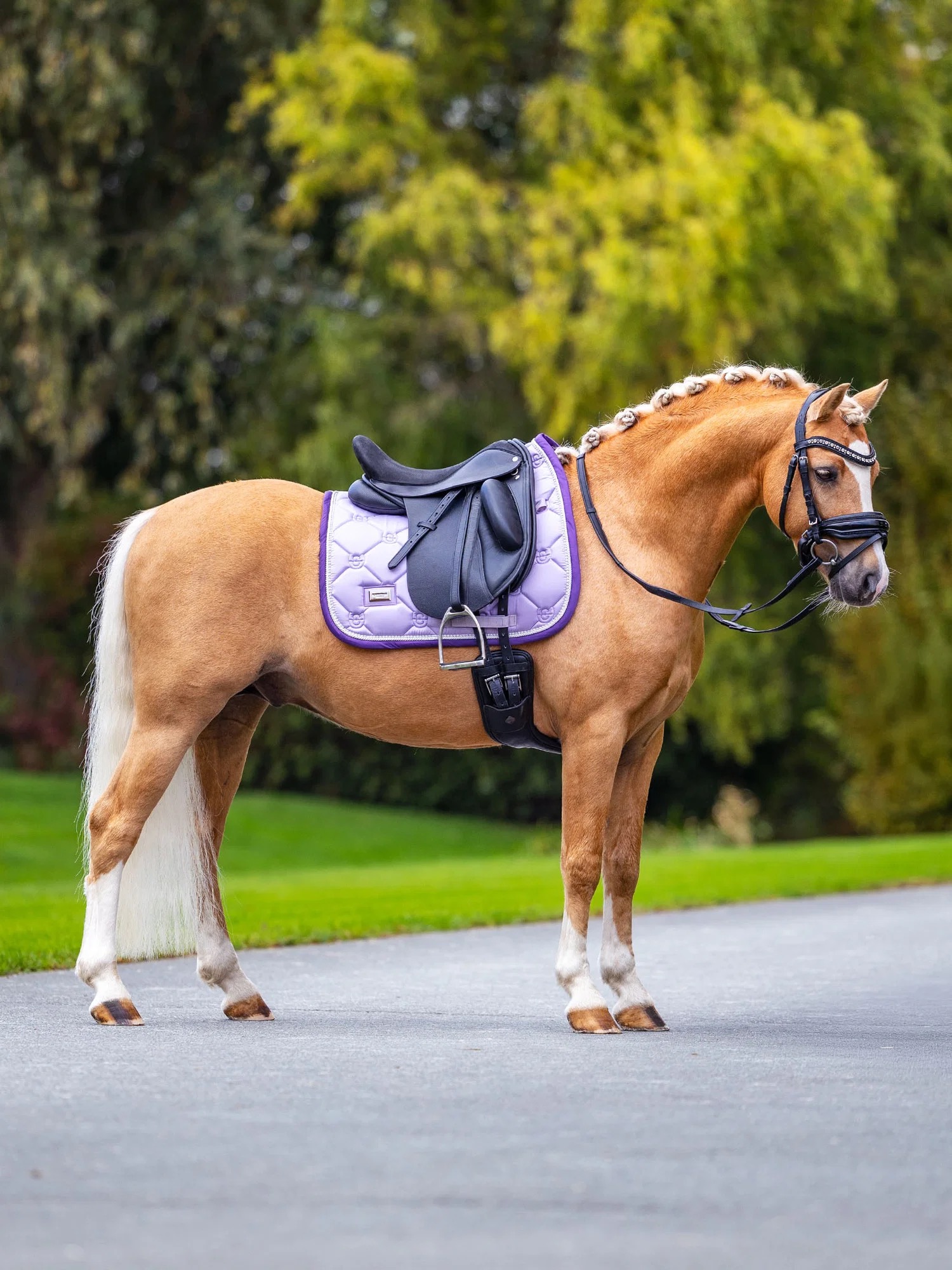 Вальтрап выездковый Lavender. Equestrian Stockholm 6