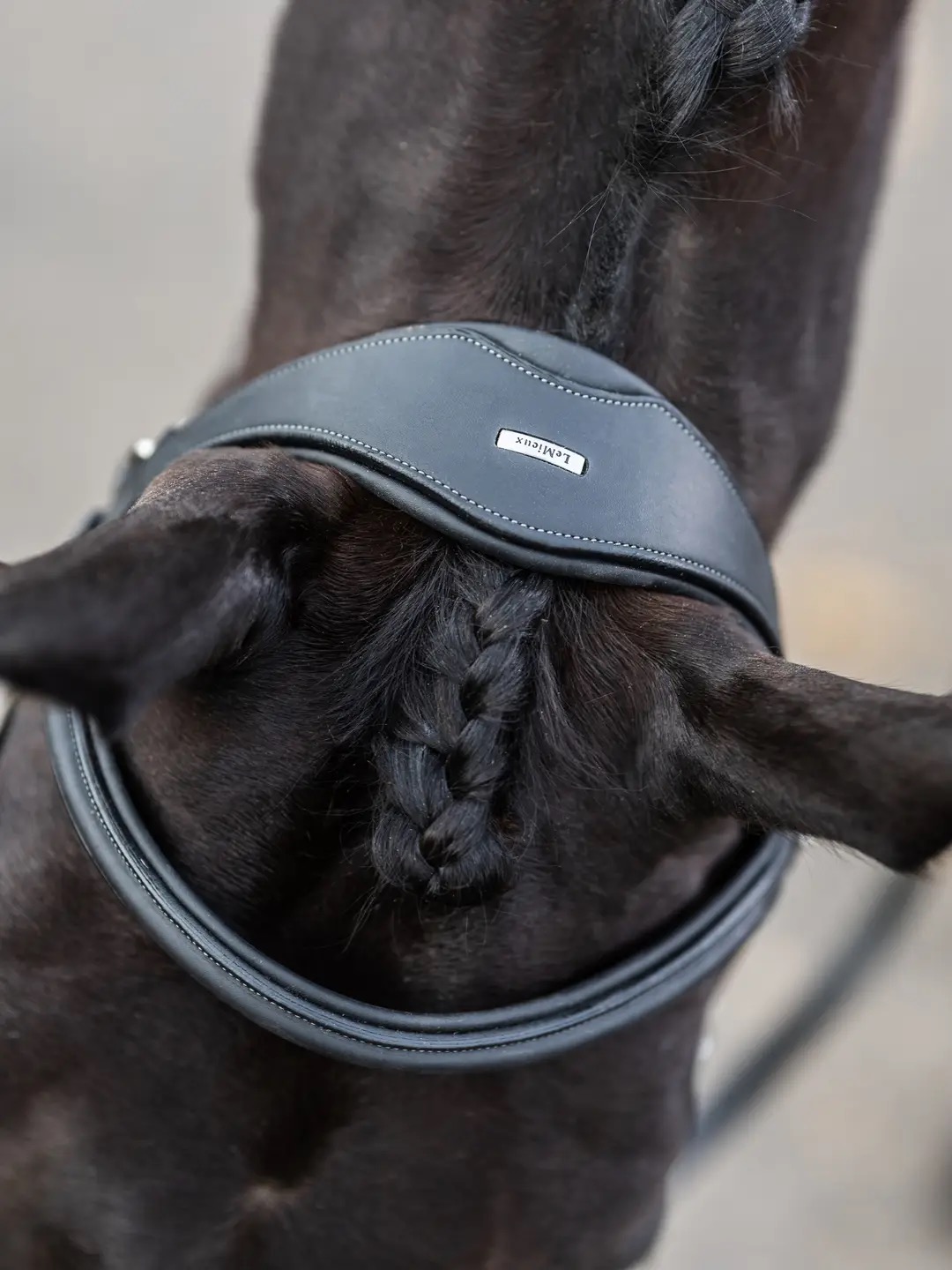 Уздечка трензельная Work Black. LeMieux 4