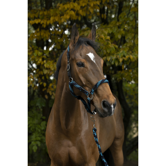 Недоуздок с чомбуром Tresse. Equitheme