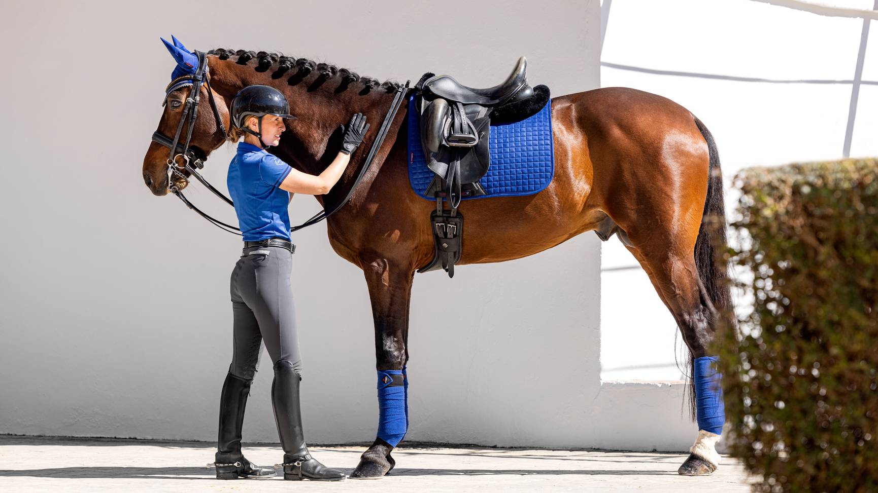Бинты флисовые Classic Polo, 4 шт. LeMieux 7