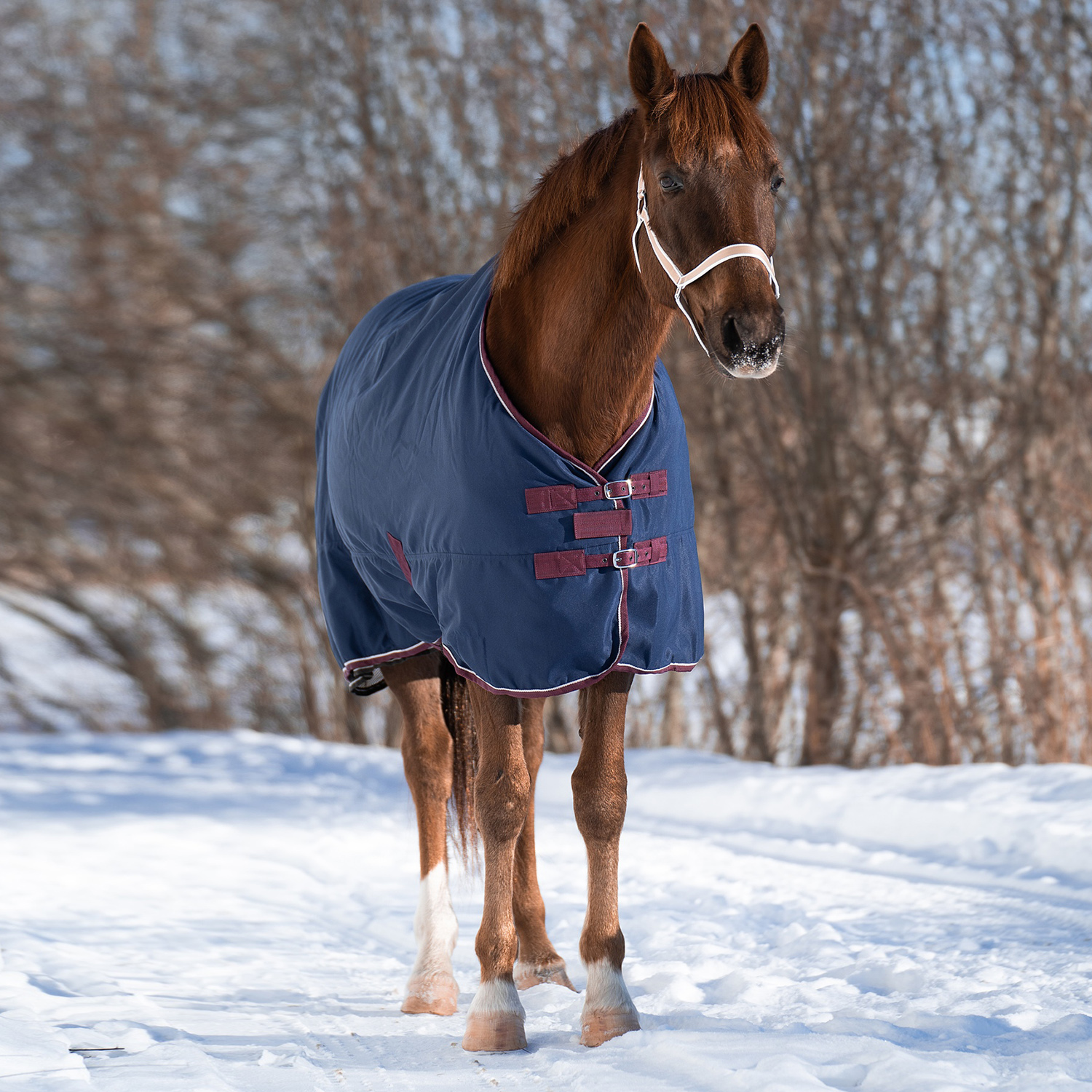 Попона денниковая на флисе Fleece-lined. ПКМ 3