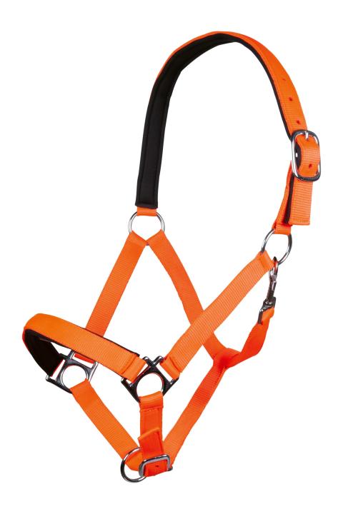 Недоуздок Stars Softice, неопреновая подкладка. HKM