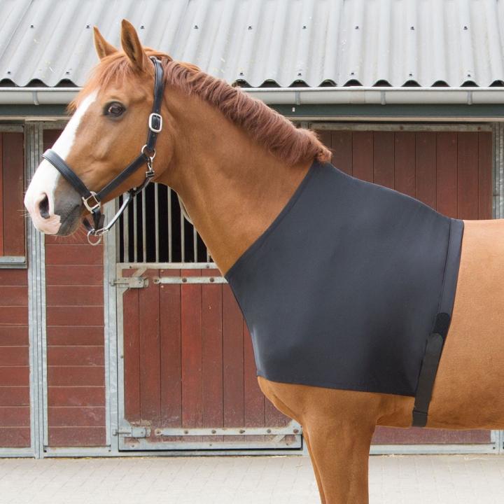 Бандаж из лайкры. Harry's Horse