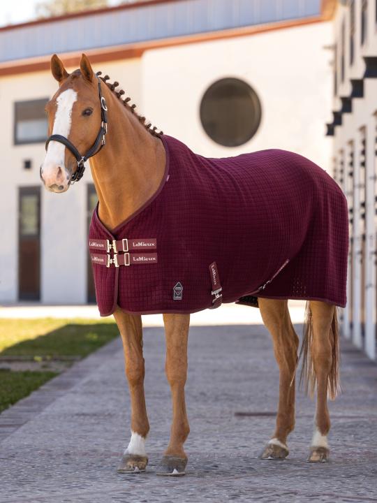 Попона Arika Clima-Tek Burgundy. LeMieux.