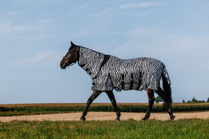 Попона антимоскитная Belly Mesh Zebra. RW